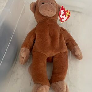 Ty beanie baby-Bongo